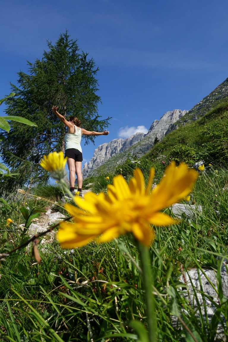 Cima di Terrarossa (2420m) philippsteiner.eu